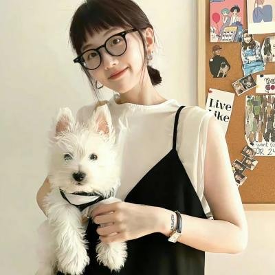 秘密档案